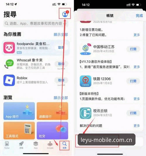 资深用户分享：乐鱼体育最新版本怎么下载的实战经验